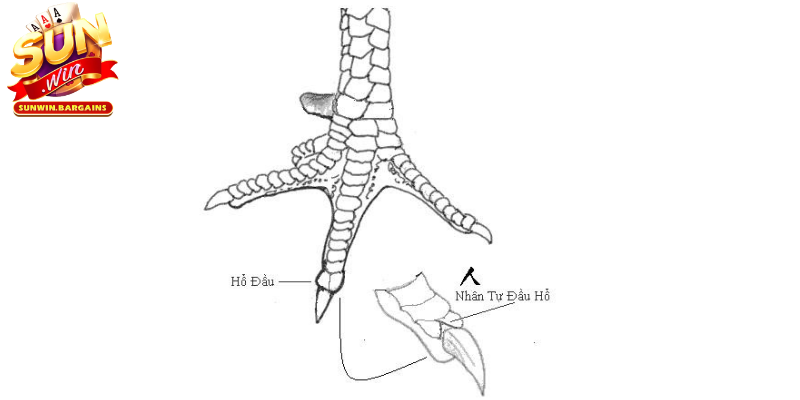 Hắc bạch nhận biết như nhau