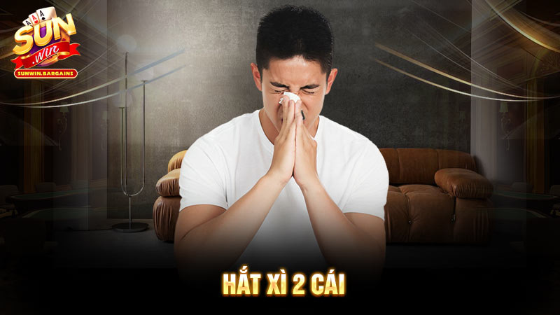 hat xi 2 cai