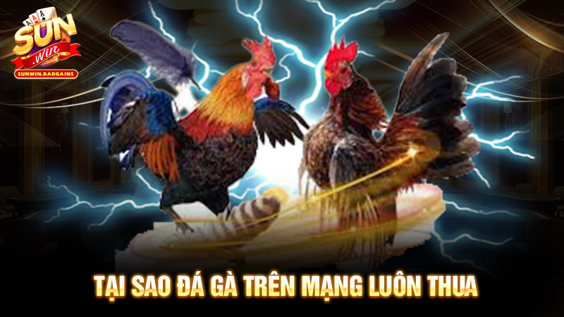 tại sao đá gà trên mạng luôn thua